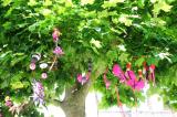 Scenographie 3 * 5184 x 3456 * (8.61MB)